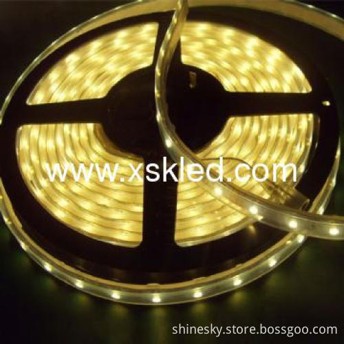 SMD 3528 Waterproof IP68 LED Strip